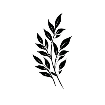 A minimalist graphic featuring black leaves clustered on thin stems against a white background