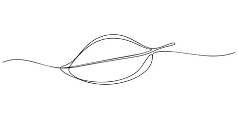 Eucalyptus leaf continuous one line drawing, One line drawing of leaves, branch, flowers. Continuous line drawing of eucalyptus leaves. Floral single line poster. Contour drawing of plant. Abstract. © Gerish