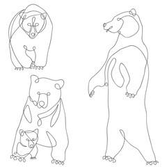 Bear, bear cub, set vector illustration, doodle. Continuous line © Natalia