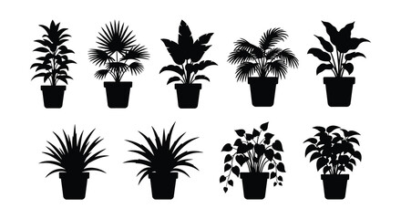 A collection of nine black silhouette illustrations depicting various potted indoor plants high quality professional detailed © arfanah02