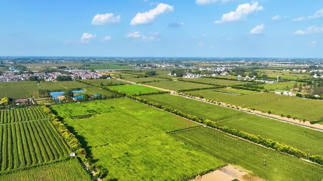 Aerial View of Dutch Farmland with Patchwork Fields and Rural Villages