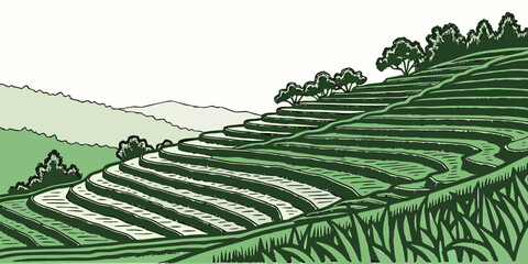Aerial view of a terraced hillside with lush green vegetation and winding paths Vector © Akshay