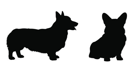 Two corgi dogs facing each other a striking black silhouette © MK2.00