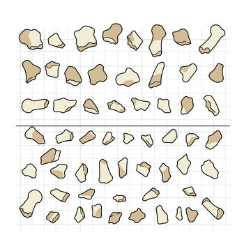 An overhead view of numerous small, irregularly shaped bone fragments or stones arranged on a grid background.