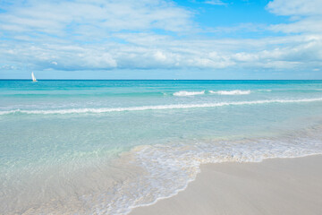 Obraz premium Calm ocean waves gently lap on the sandy shore under a bright blue sky