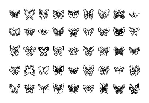 Butterfly Icon Set