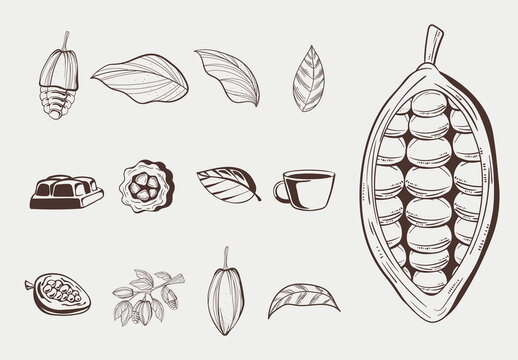 Brown Cocoa Illustration Icons Set