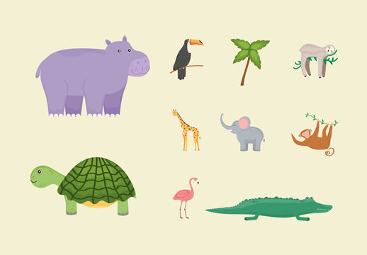 Jungle Exotic Animals Illustration Set