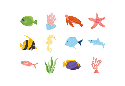 Cute Marine Life Illustration Set
