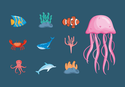 Cute Ocean Marine Life Illustration Set