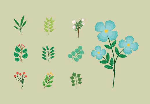 Floral Leaves Illustration Set