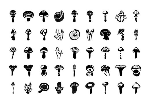 Cartoon Mushrooms Design Set