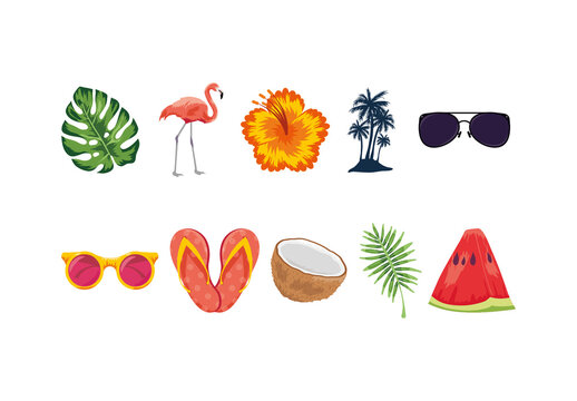 Tropical Beach Illustration Set