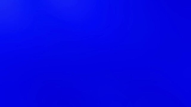 Marigold Flower Transitions Blue Screen | Transition 5