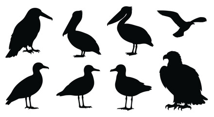 Collection of diverse bird silhouettes in black, featuring various avian species on a white background