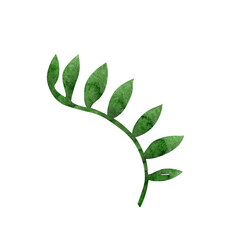 Watercolor illustration twining branch with leaves. Botanical illustration for wedding stationary, greetings, wallpapers, fashion, background. © Lena