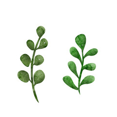 Watercolor illustration abstract leaves set. Botanical illustration for wedding stationary, greetings, wallpapers, fashion, background. © Lena