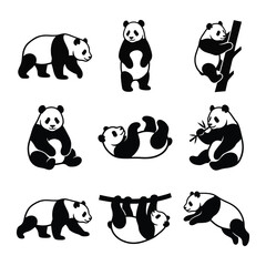 Giant Panda Silhouette Set – Cute Panda Poses Collection Vector Illustration © Shifaul Islam
