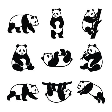 Giant Panda Silhouette Set &ndash; Cute Panda Poses Collection Vector Illustration