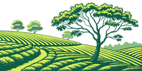 A tree stands tall in a lush green tea field on a sunny day Vector © Mithu