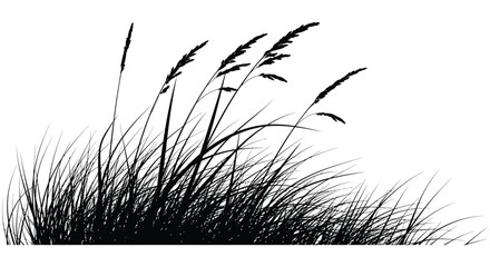 A striking black and white image depicts tall grasses swaying gently in the wind creating a peaceful silhouette high quality professional © VoDesign02