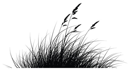 A striking black and white depiction of tall grasses swaying gently in the breeze presented as a silhouette high quality professional © VoDesign02