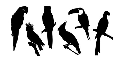 Colorful exotic bird silhouettes like parrots and toucans, isolated on transparent background © DARK TRUST