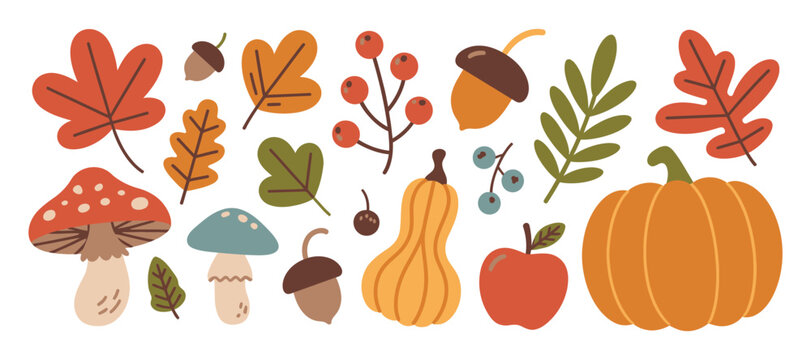 Autumn Harvest Elements Collection: Pumpkins Mushrooms Acorns Leaves Berries