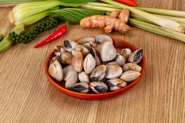 Raw fresh wild clams mollusc © Andrei Starostin
