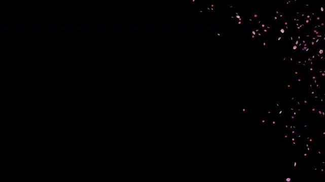 Medium amount of cherry blossom petals blowing from left to right in strong turbulent wind. Sakura petals drifting in the air. starts and ends, with alpha channel, perfect for spring overlays in 4K.