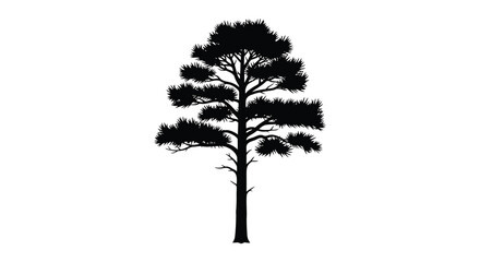 A stark black silhouette of a coniferous tree with dense foliage stands prominently against a white background silhouette © Nupur02
