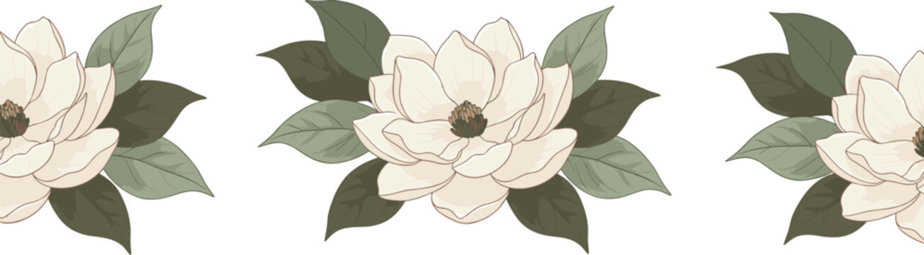 Minimal hand-drawn vector illustration set of magnolia floral patterns with leaves in clean outline style and consistent stroke width
