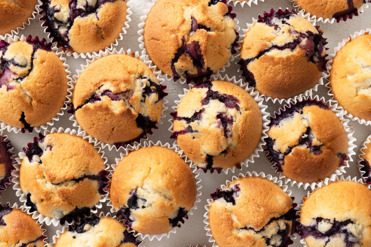 Overhead Flat Lay of Large Batch Homemade Blueberry Muffins Filling the Frame