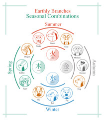 Obraz premium Earthly branches seasonal combinations, animals signs, vector illustration, feng shui, ba zi, four pillars of destiny, tcm, chinese zodiac, horoscope