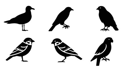 Bird Silhouettes Collection: Diverse Black Avian Icons on White Background