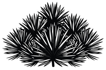 Fototapeta premium pine needle cluster silhouette line art vector illustration with a white background