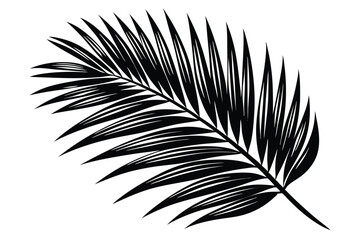 Fototapeta premium palm leaf silhouette line art vector illustration with a white background