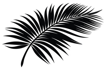 Obraz premium palm leaf silhouette line art vector illustration with a white background