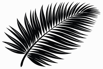 Obraz premium palm leaf silhouette line art vector illustration with a white background