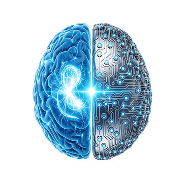 Artificial intelligence concept showing half human brain and cybernetic circuit board isolated on transparent background