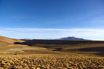 Golden dry grass covers the undulating terrain of Bolivia's Altiplano. Long shadows stretch across the land towards distant peaks under a clear sky.
