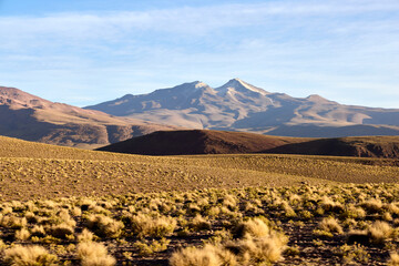 Panoramic view across the Bolivian Altiplano, displaying dry golden grasses on rolling hills leading to majestic, snow-capped mountains under a clear sky.