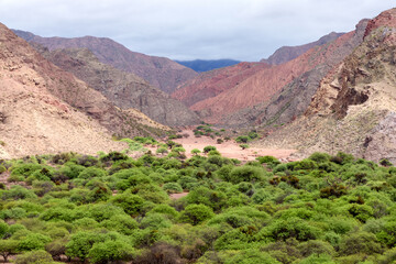 A vibrant green forest fills the foreground leading to a dry valley floor, flanked by colorful, rocky mountains under a cloudy sky in Argentina