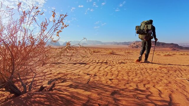 Male hiker trekking across Wadi rum desert on Jordan trail with backpack and pole remote adventure travel concept. Jordan trail south route. Bedouin route ten day trek