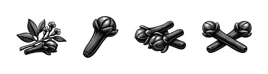 Vintage black and white vector illustrations of clove spice botanical elements
