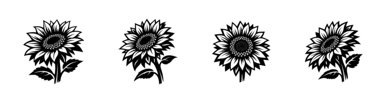 Black and white sunflower vector illustration set of floral designs