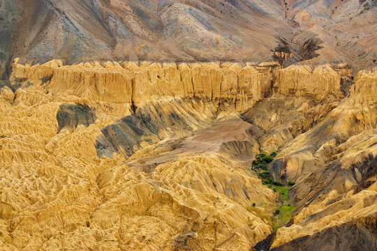A touch of green trees at Moonland, near Lamayuru, named for its uncanny resemblance to the surface of the Moon. Naturally eroded, soft clay hills giving it a true lunar vibe. Lamayuru, Ladakh, India.