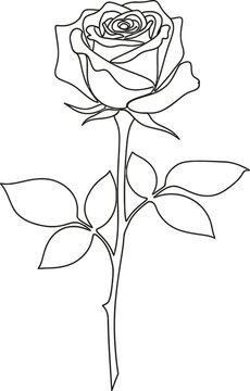 A delicate single line drawing depicts a rose with leaves and a long slender stem