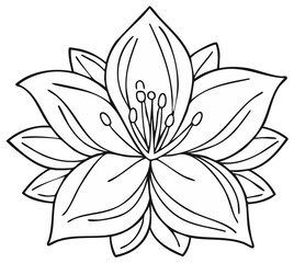 Stylized Outline of a Blooming Lotus Flower with Intricate Petals and Stamens
