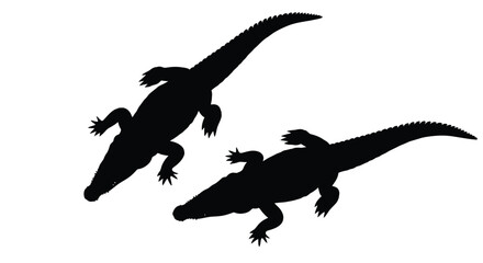 Two alligators in dynamic poses a striking black silhouette © HN2.00